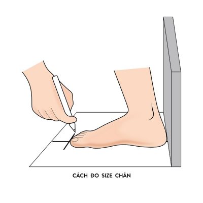 Cố định chân trên giấy